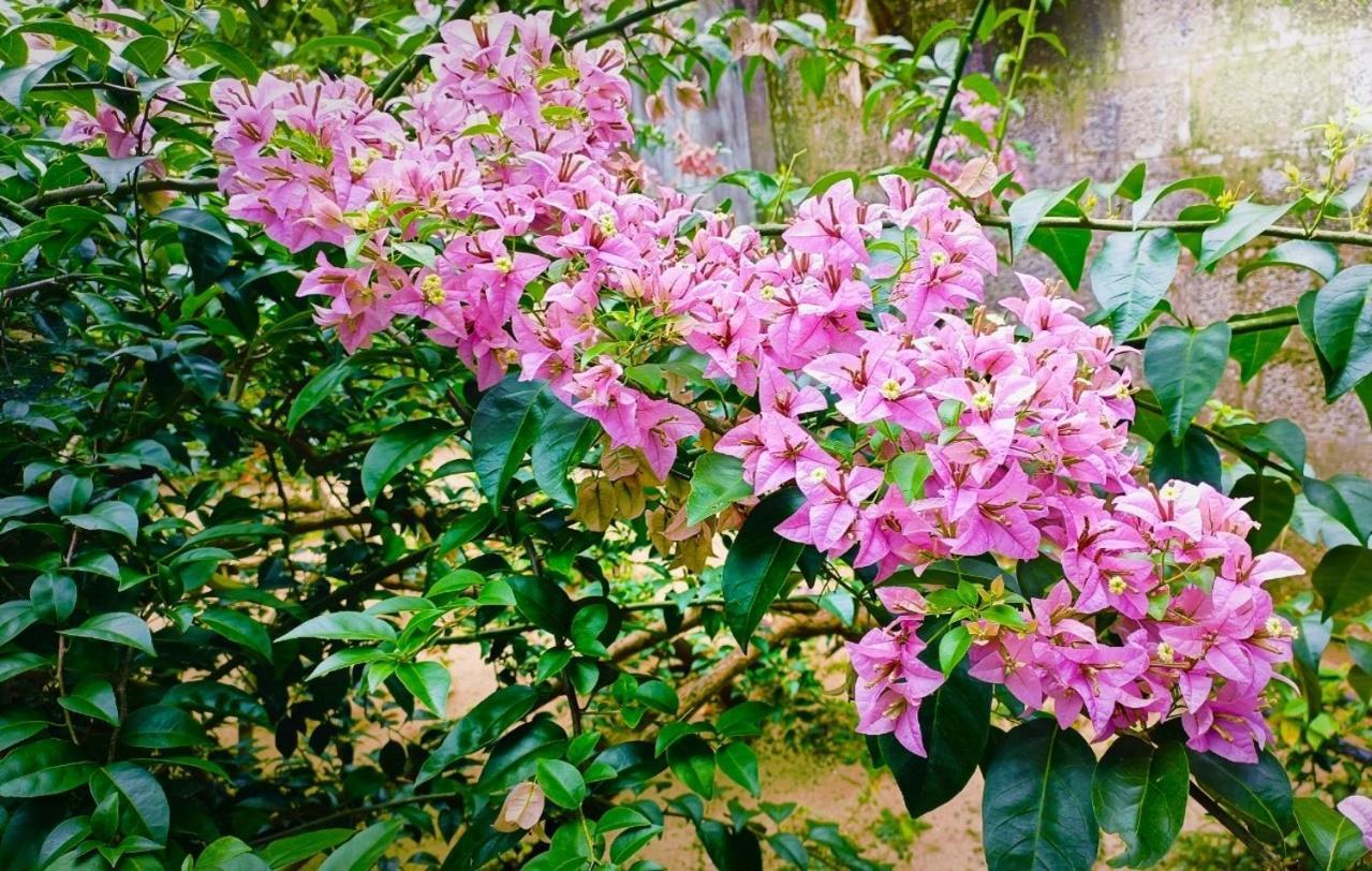 Marari Charlys Homestay Alappuzha Екстер'єр фото